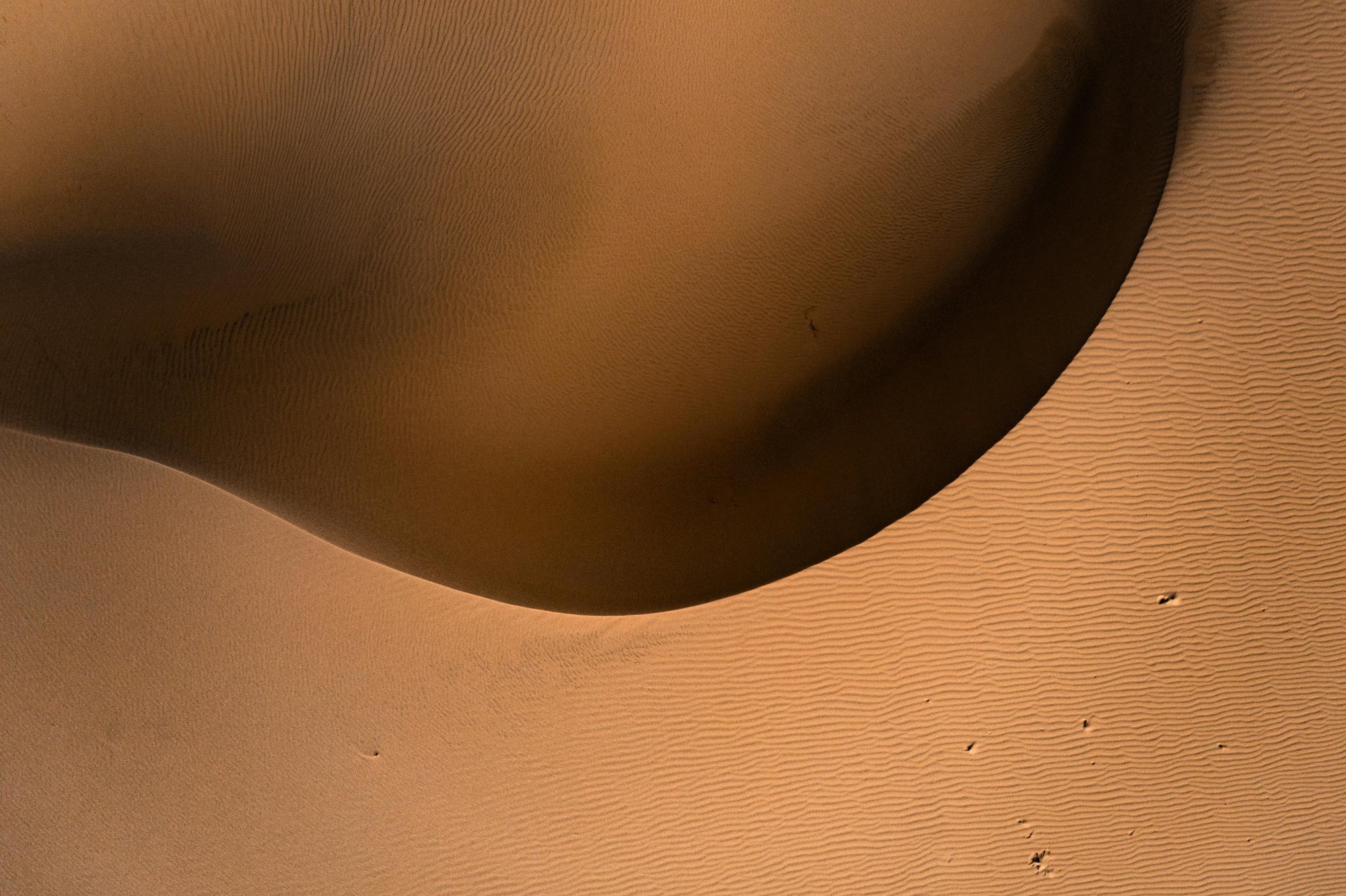 Sand dunes with warm golden tones